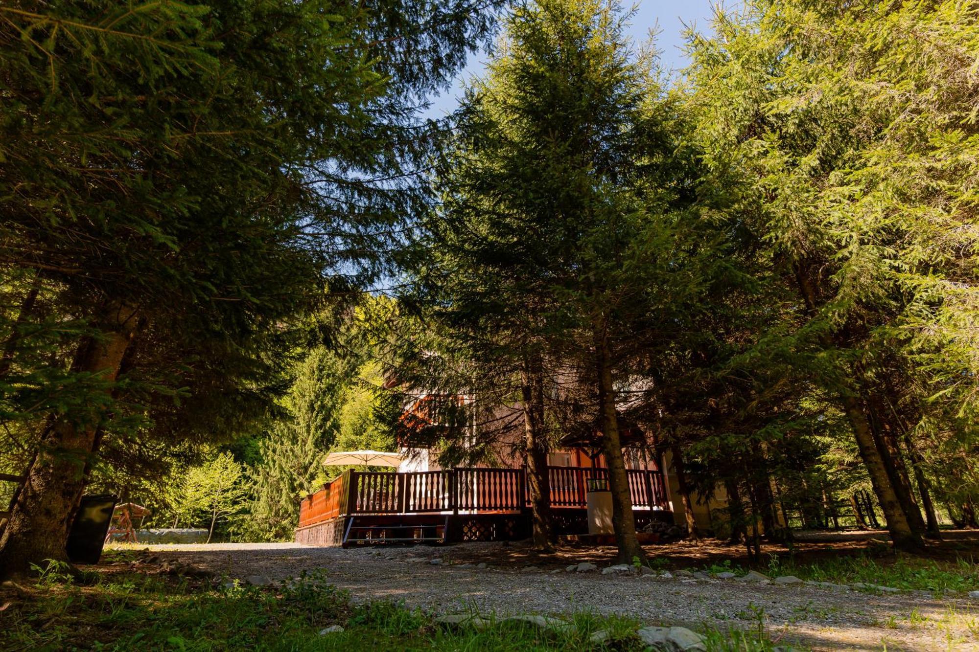Cabana Zip Зэрнешти Экстерьер фото