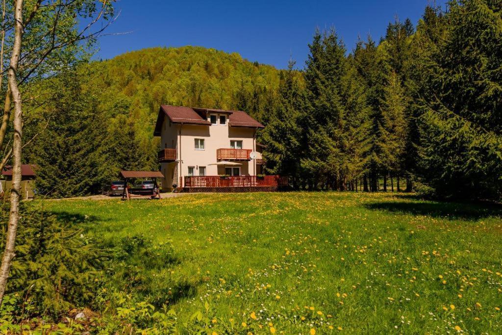 Cabana Zip Зэрнешти Экстерьер фото